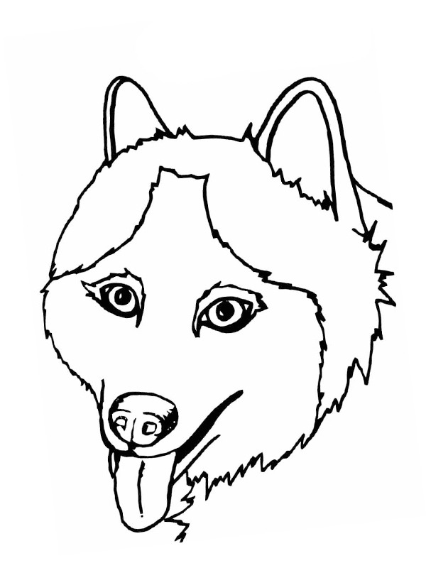 Husky kolorowanki